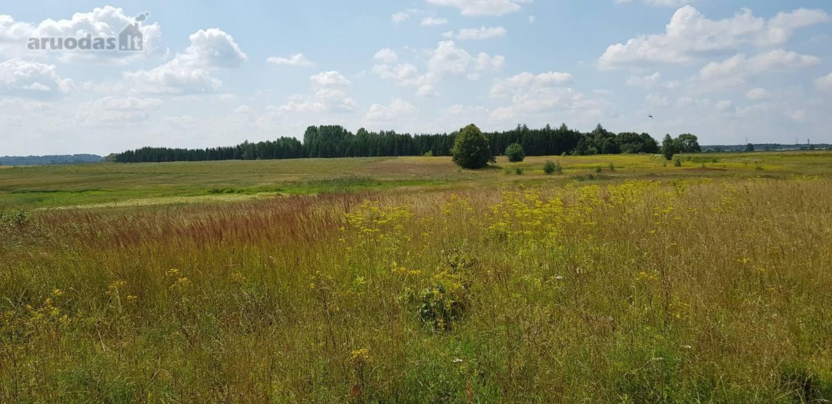 Parduodamas sklypas Šiaulių rajone, Ginkūnų - nuotraukos Nr. 8