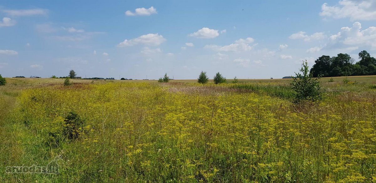 Parduodamas sklypas Šiaulių rajone, Ginkūnų - nuotraukos Nr. 9