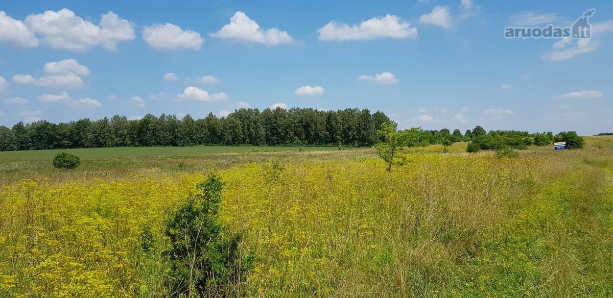 Parduodamas sklypas Šiaulių rajone, Ginkūnų - nuotraukos Nr. 10