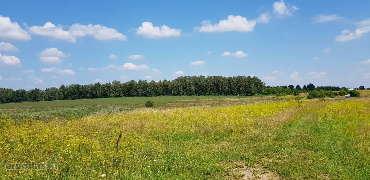 Parduodamas sklypas Šiaulių rajone, Ginkūnų - nuotraukos Nr. 13
