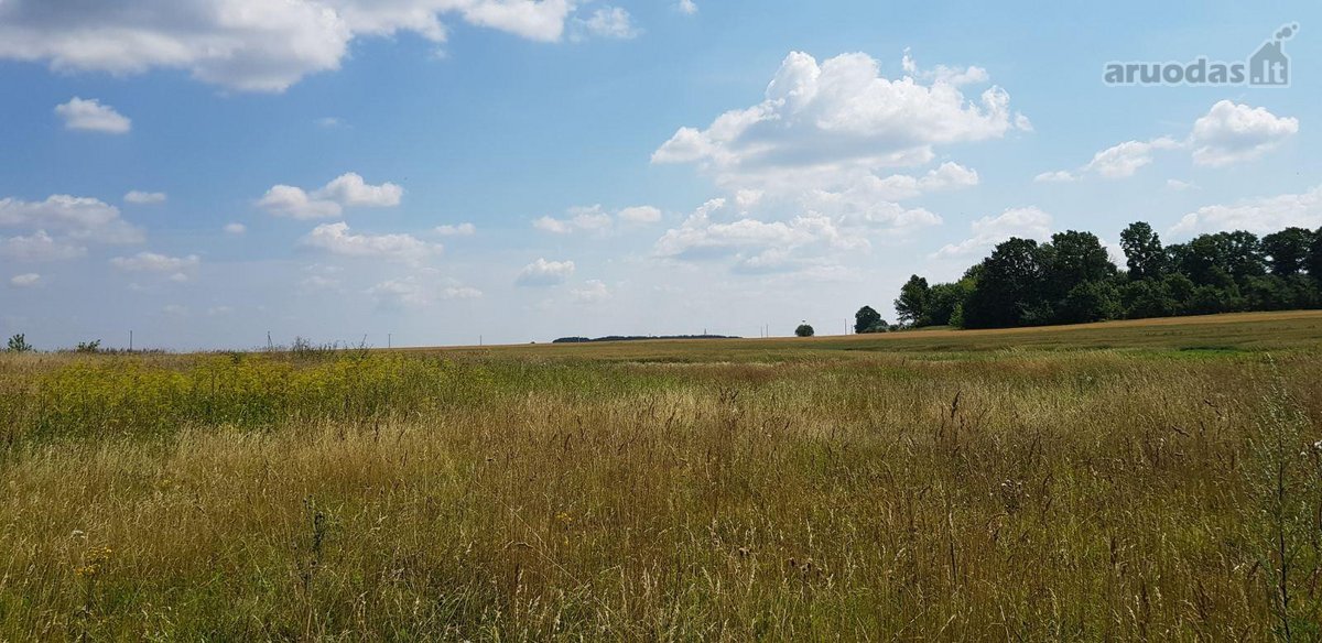 Parduodamas sklypas Šiaulių rajone, Ginkūnų - nuotraukos Nr. 14
