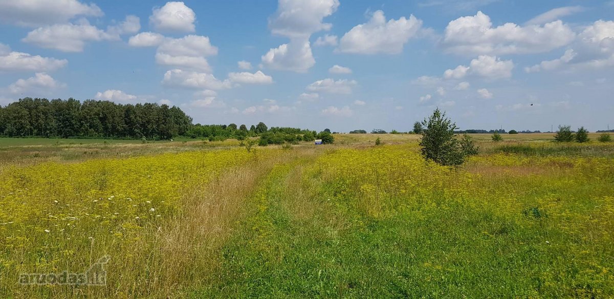 Parduodamas sklypas Šiaulių rajone, Ginkūnų - nuotraukos Nr. 16