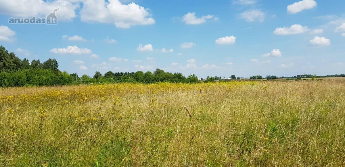 Parduodamas sklypas Šiaulių rajone, Ginkūnų - nuotraukos Nr. 19
