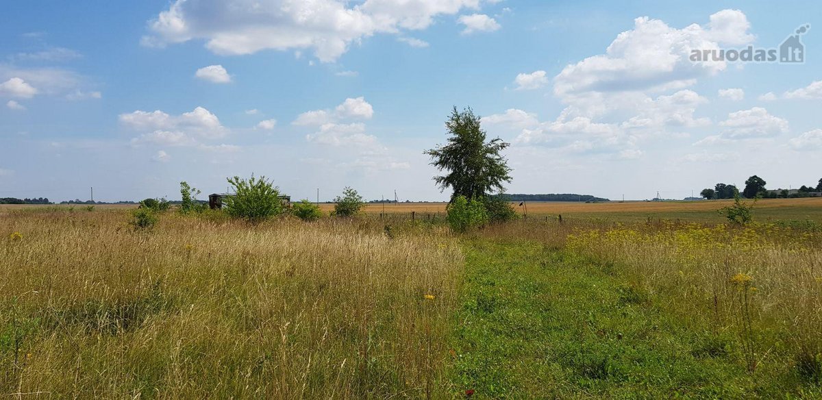 Parduodamas sklypas Šiaulių rajone, Ginkūnų - nuotraukos Nr. 20