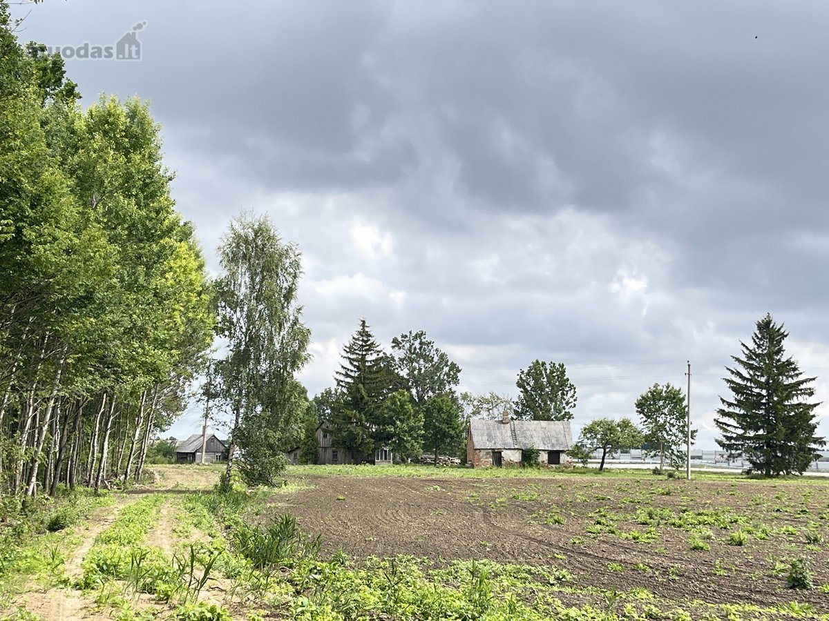 Parduodami Komercinės Paskirties Sklypai, - nuotraukos Nr. 6