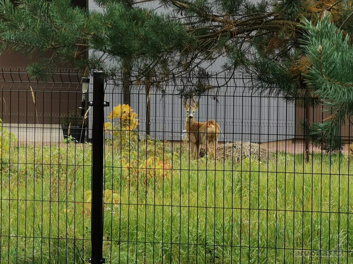 Įrengtas kotedžas 91 m² su terasomis, sodu ir - nuotraukos Nr. 31