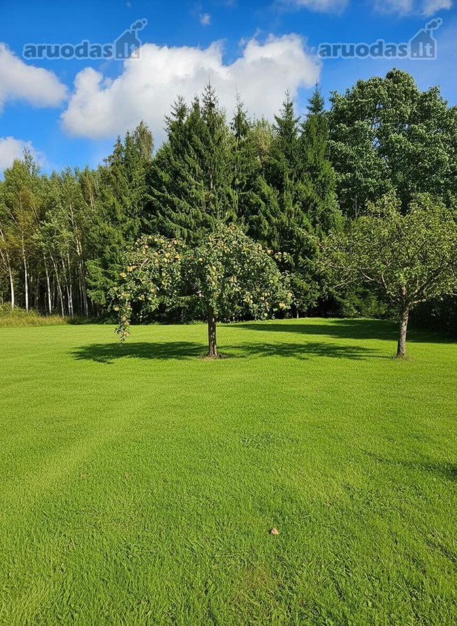 Parduodamas Sklypas Mažeikiuose, Birutės g.