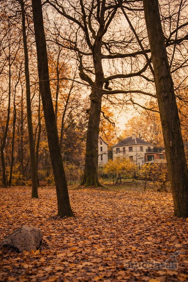 Vienas rečiausių sklypų Žaliakalnyje – su
