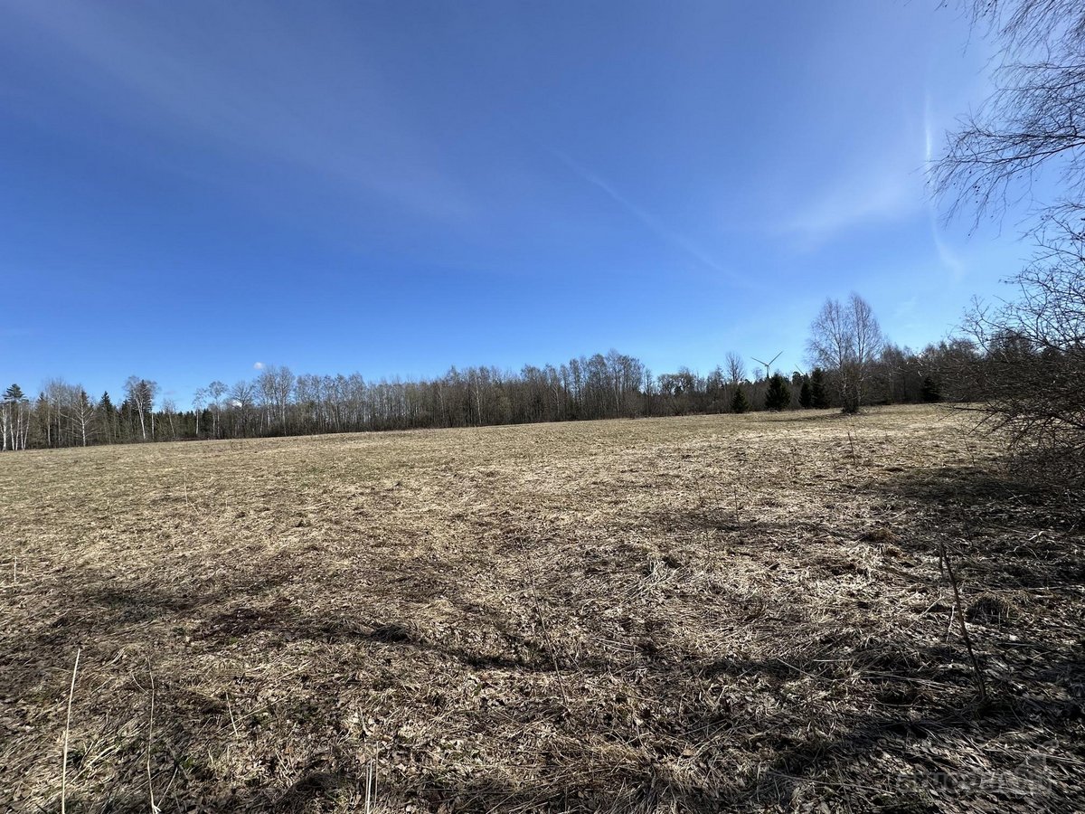 Parduodu 0,57 ha žemės sklypą Kamajų sen., - nuotraukos Nr. 5