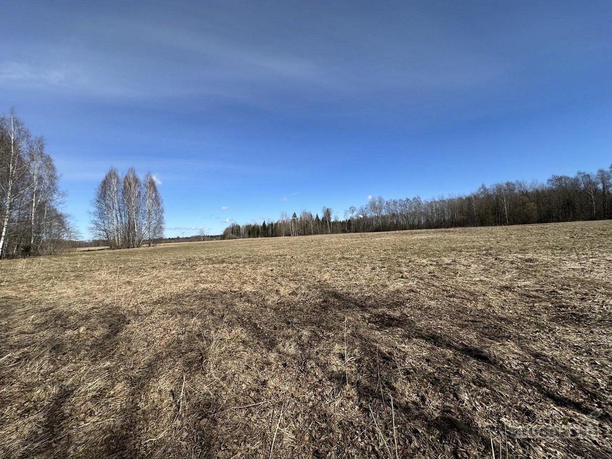 Parduodu 0,57 ha žemės sklypą Kamajų sen., - nuotraukos Nr. 4