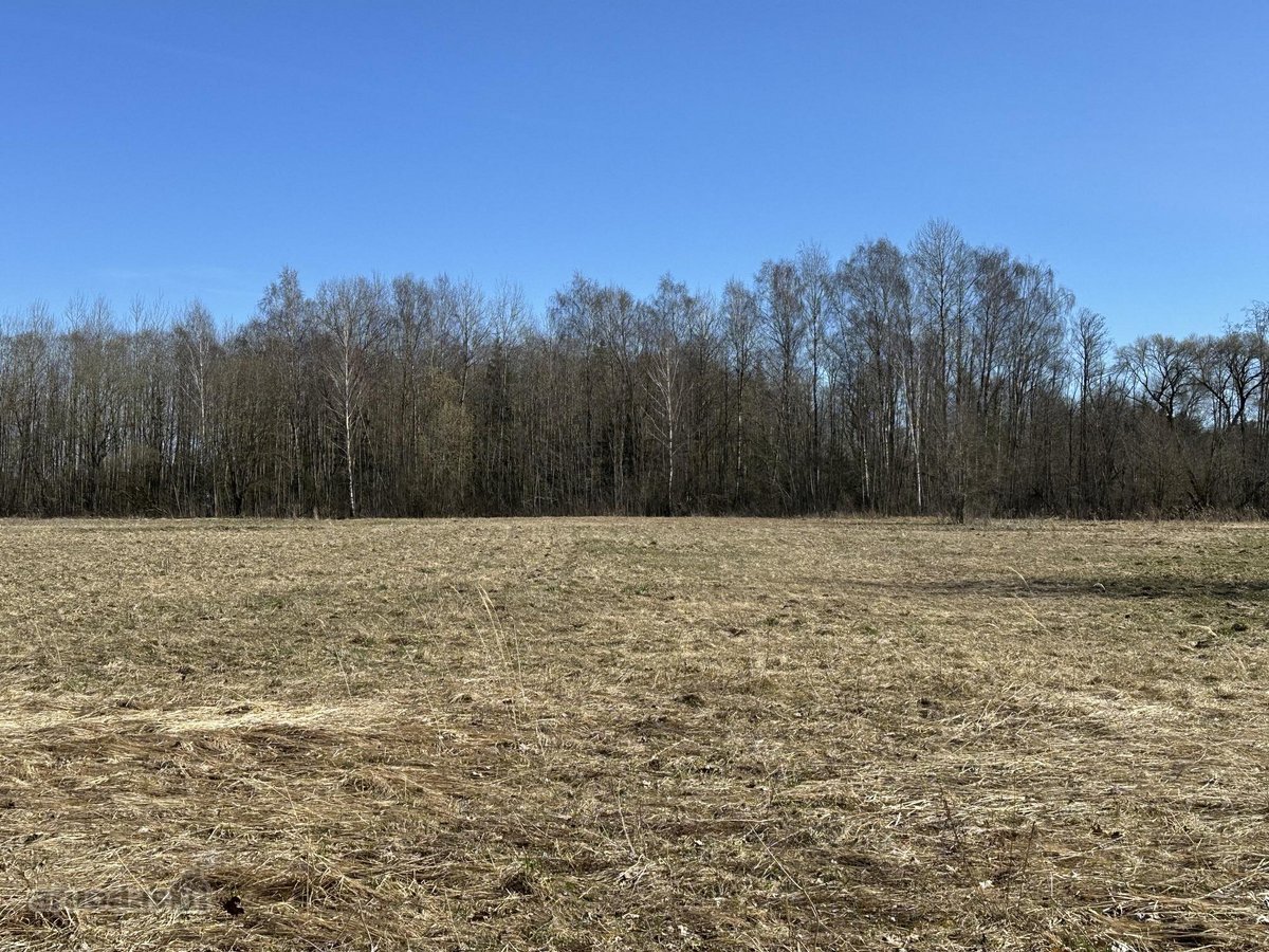 Parduodu 0,57 ha žemės sklypą Kamajų sen., - nuotraukos Nr. 3