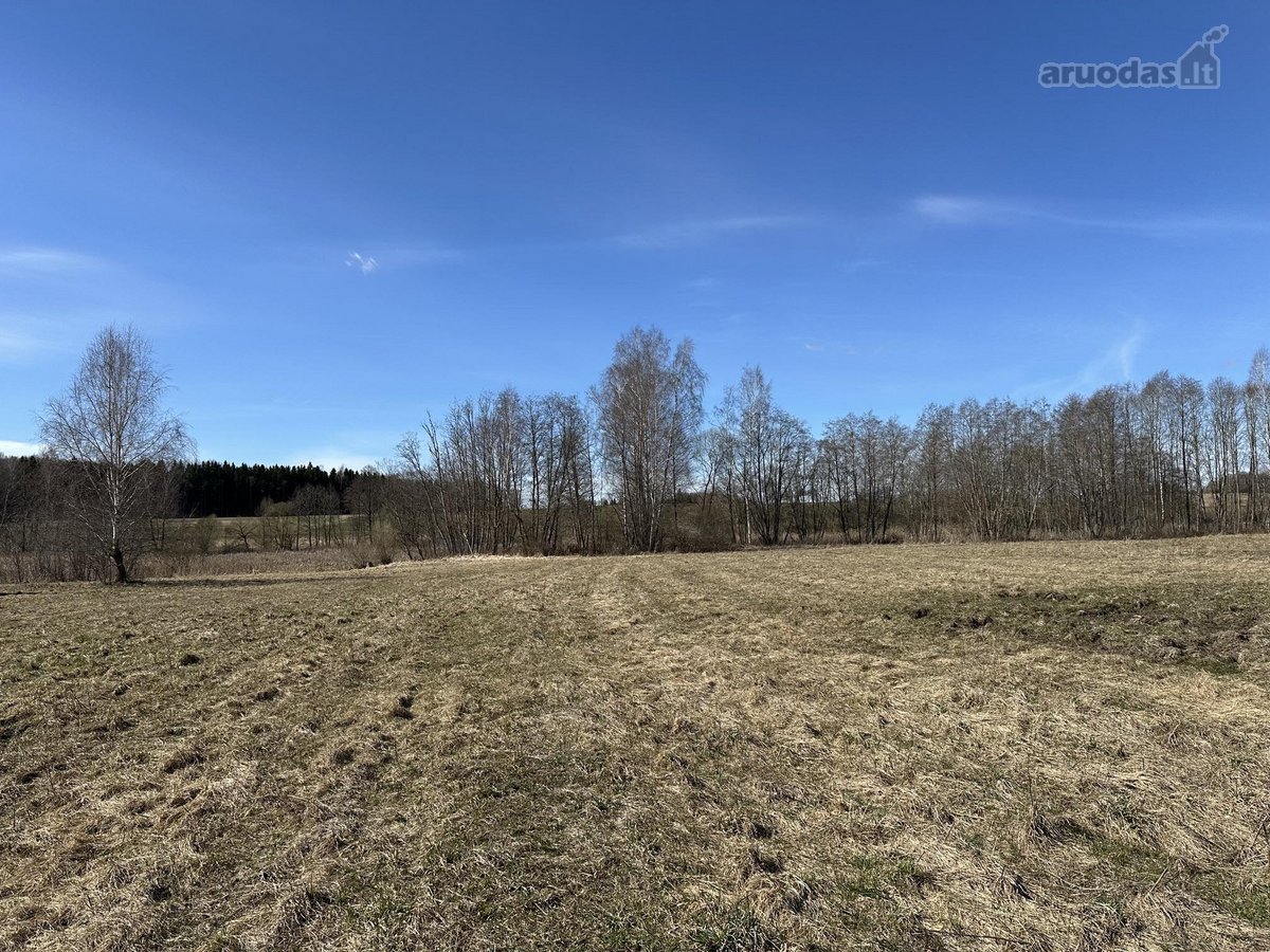 Parduodu 0,57 ha žemės sklypą Kamajų sen., - nuotraukos Nr. 2