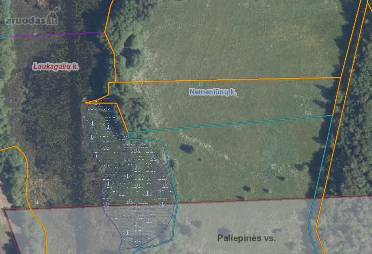 Parduodu 0,57 ha žemės sklypą Kamajų sen., - nuotraukos Nr. 6