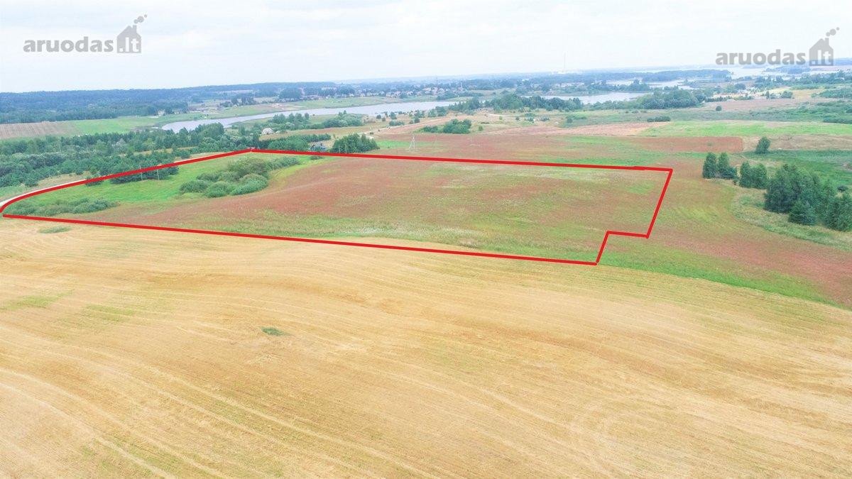 Parduodamas 4,37 ha žemės ūkio paskirties - nuotraukos Nr. 3