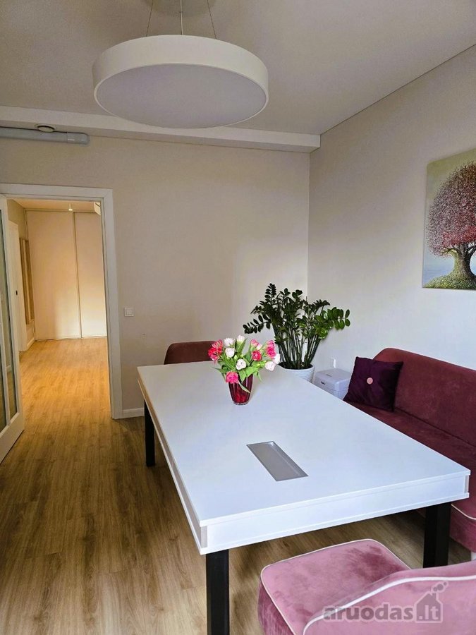 Išskirtinis objektas su ~50 m² terasa miesto - nuotraukos Nr. 7