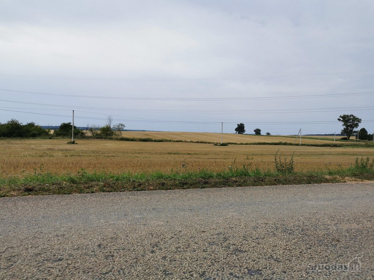 Parduodama 4.32 ha žemės ūkio paskirties - nuotraukos Nr. 2