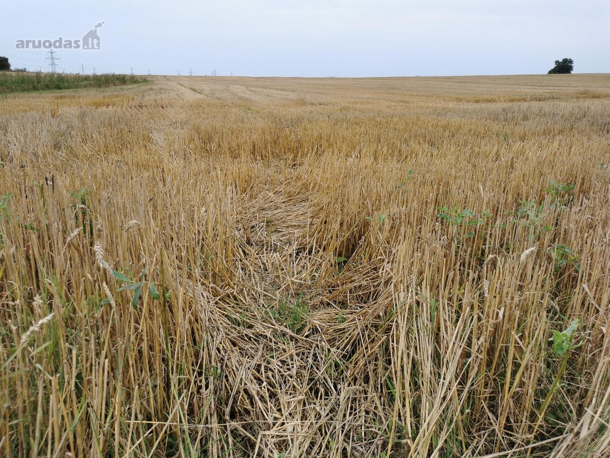 Parduodama 4.32 ha žemės ūkio paskirties - nuotraukos Nr. 4