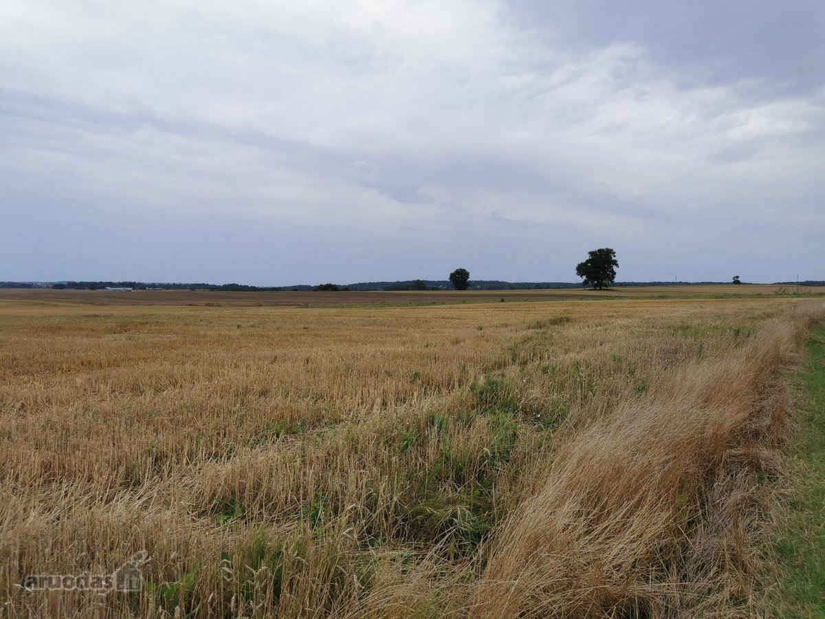 Parduodama 4.32 ha žemės ūkio paskirties - nuotraukos Nr. 5