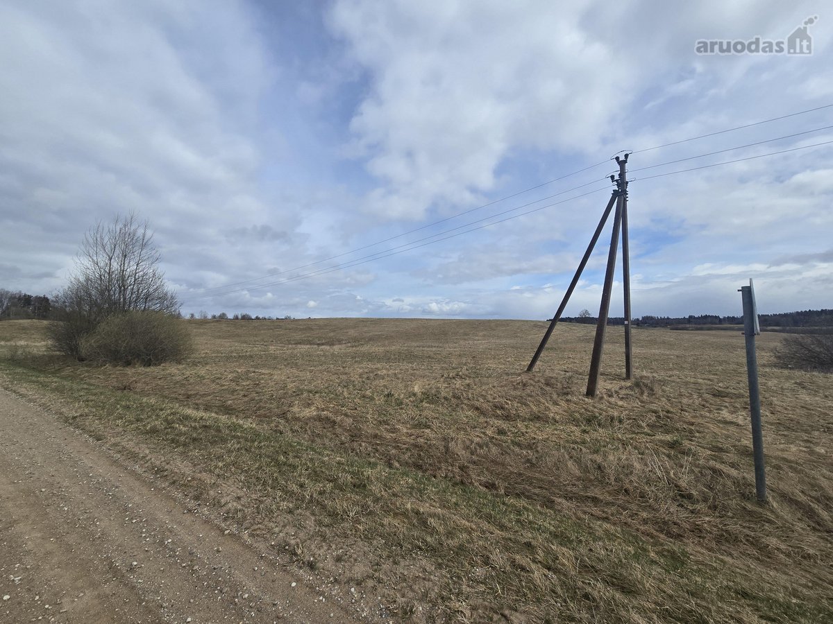Parduodamas 2,5307 ha žemės ūkio paskirties - nuotraukos Nr. 2