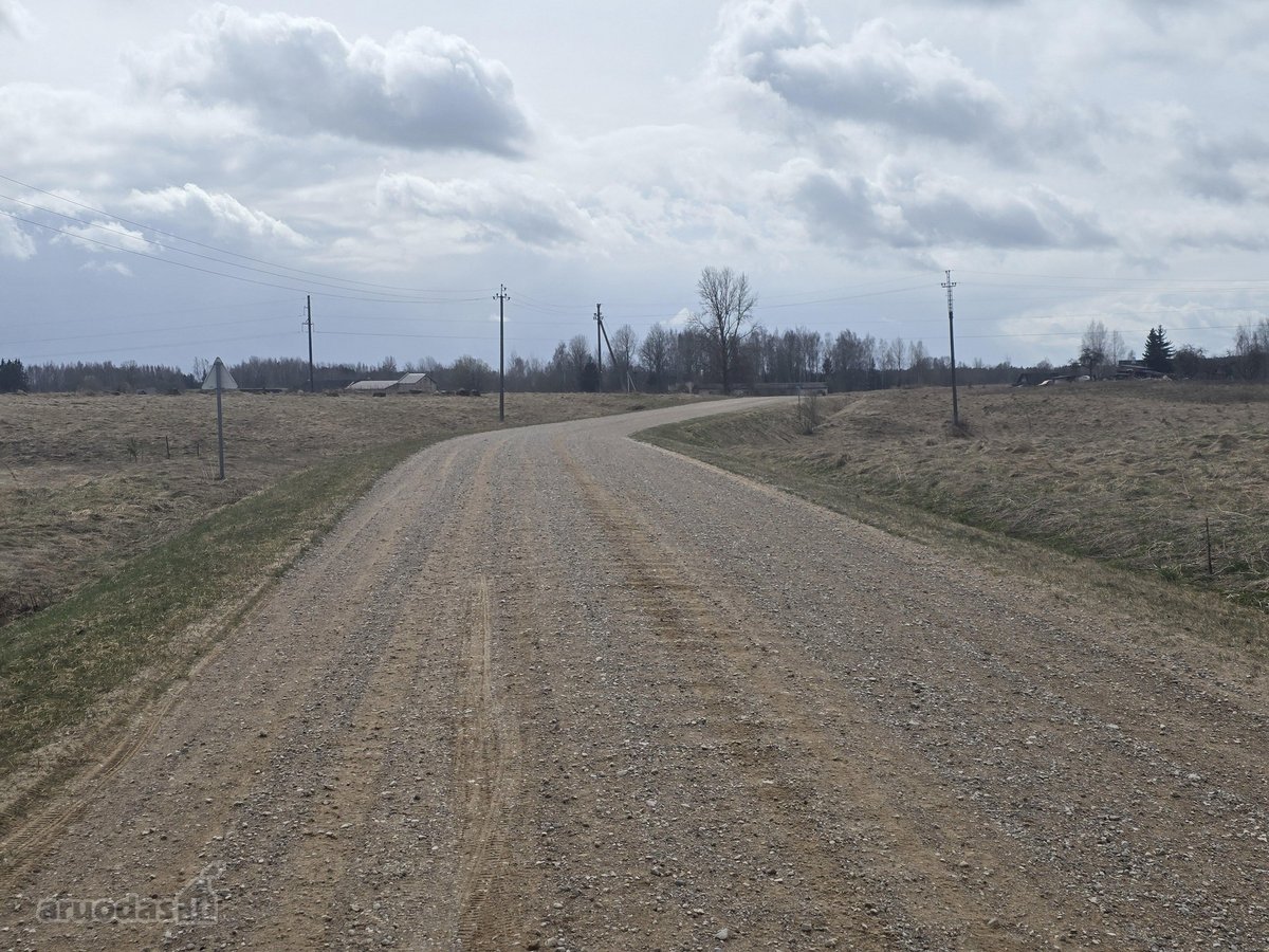 Parduodamas 2,5307 ha žemės ūkio paskirties - nuotraukos Nr. 10