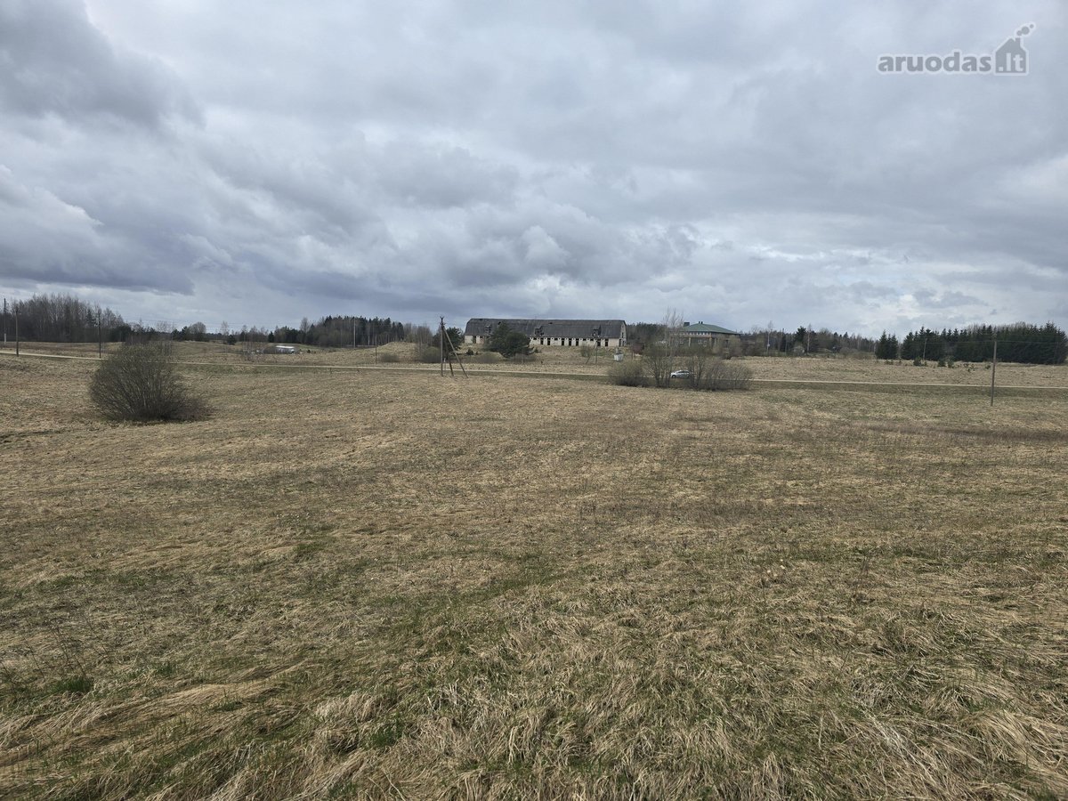 Parduodamas 2,5307 ha žemės ūkio paskirties - nuotraukos Nr. 3