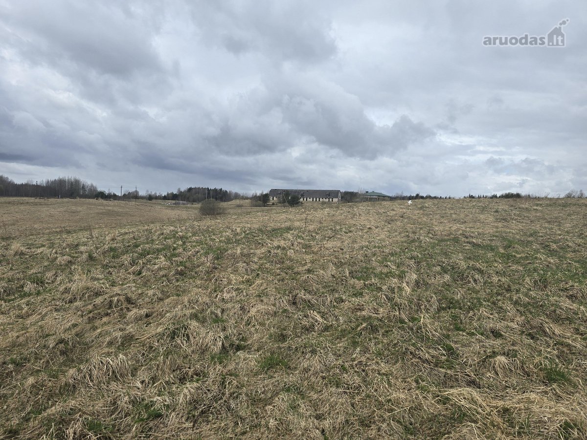 Parduodamas 2,5307 ha žemės ūkio paskirties - nuotraukos Nr. 4