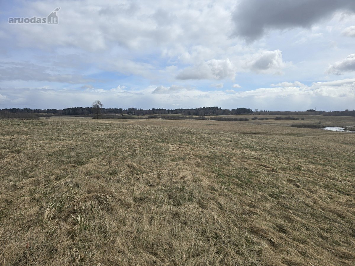 Parduodamas 2,5307 ha žemės ūkio paskirties - nuotraukos Nr. 5