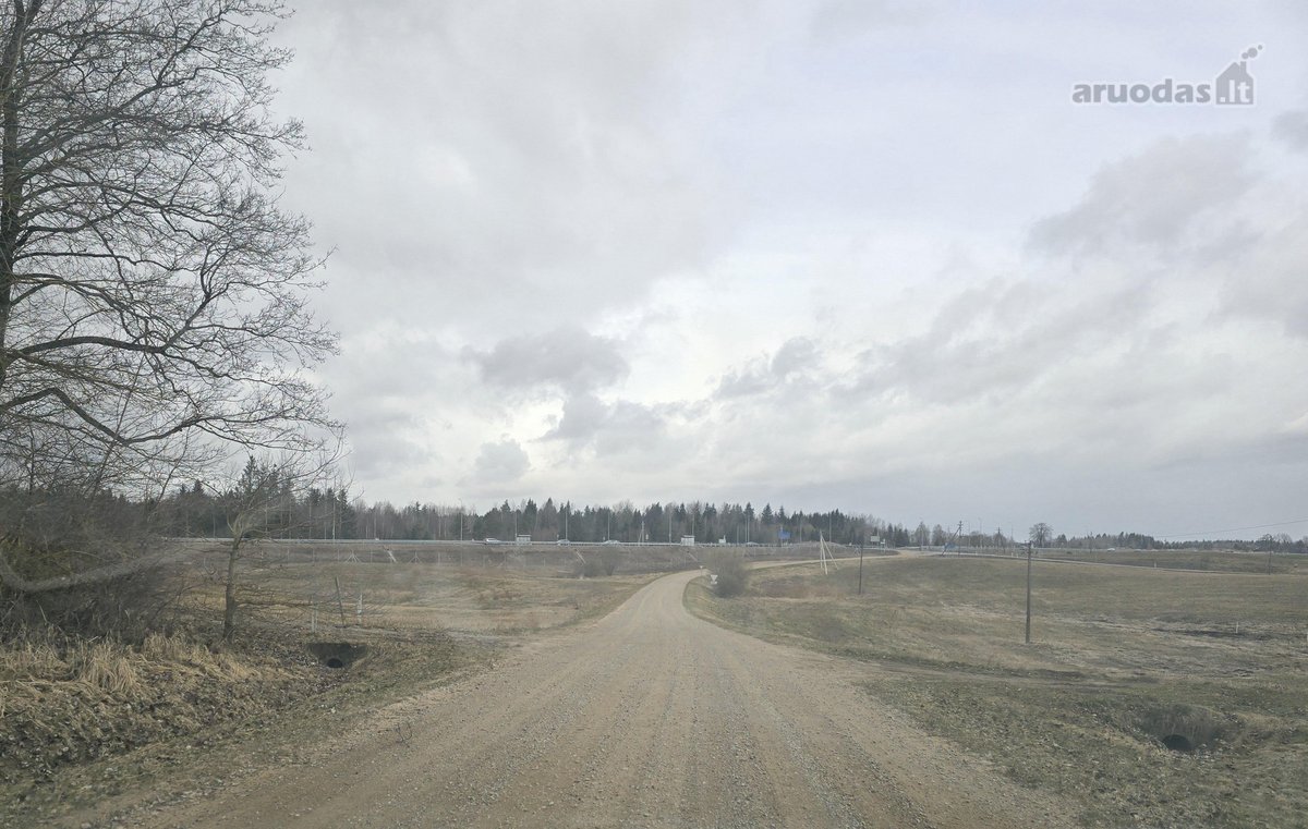Parduodamas 2,5307 ha žemės ūkio paskirties - nuotraukos Nr. 19