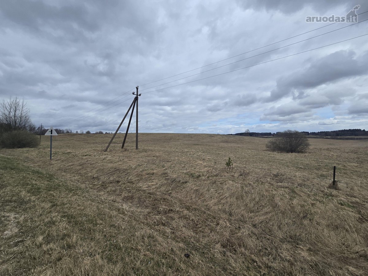 Parduodamas 2,5307 ha žemės ūkio paskirties - nuotraukos Nr. 6
