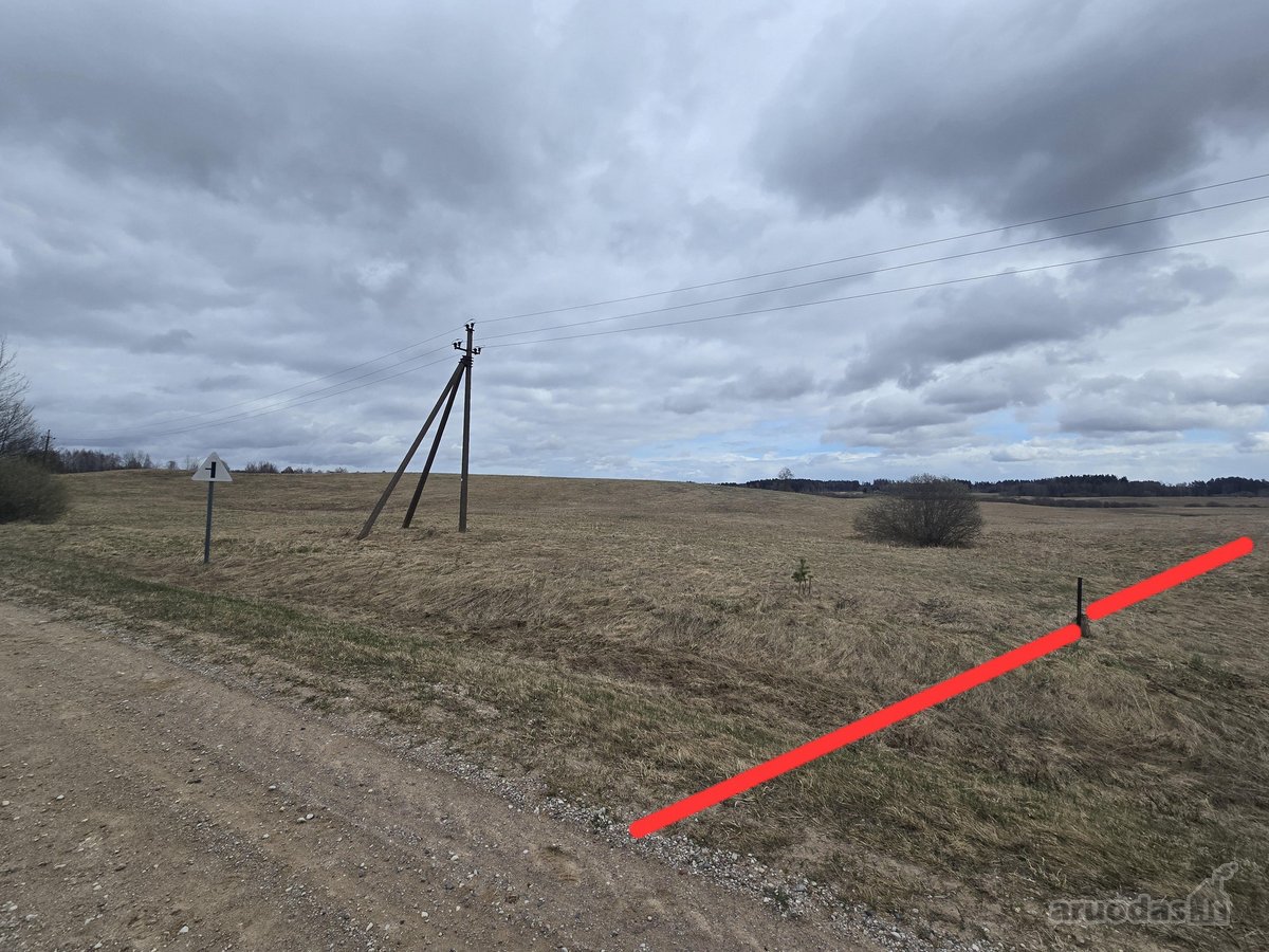 Parduodamas 2,5307 ha žemės ūkio paskirties - nuotraukos Nr. 7