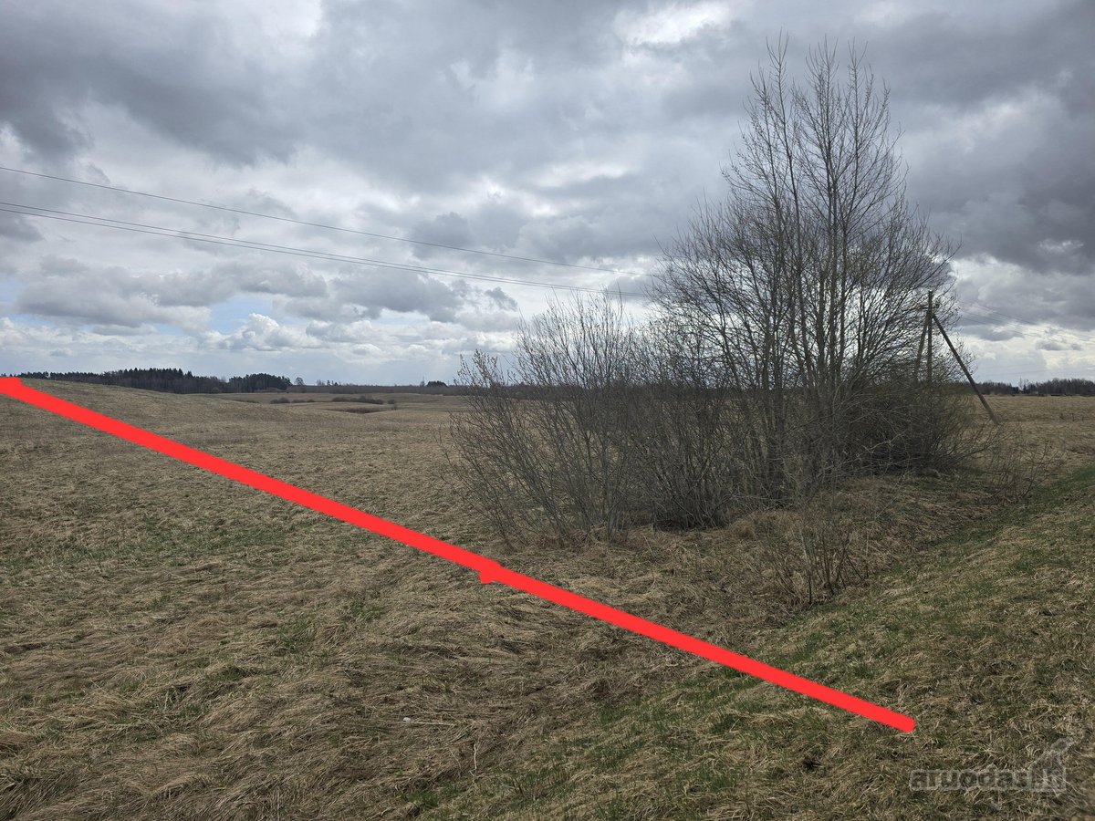 Parduodamas 2,5307 ha žemės ūkio paskirties - nuotraukos Nr. 8