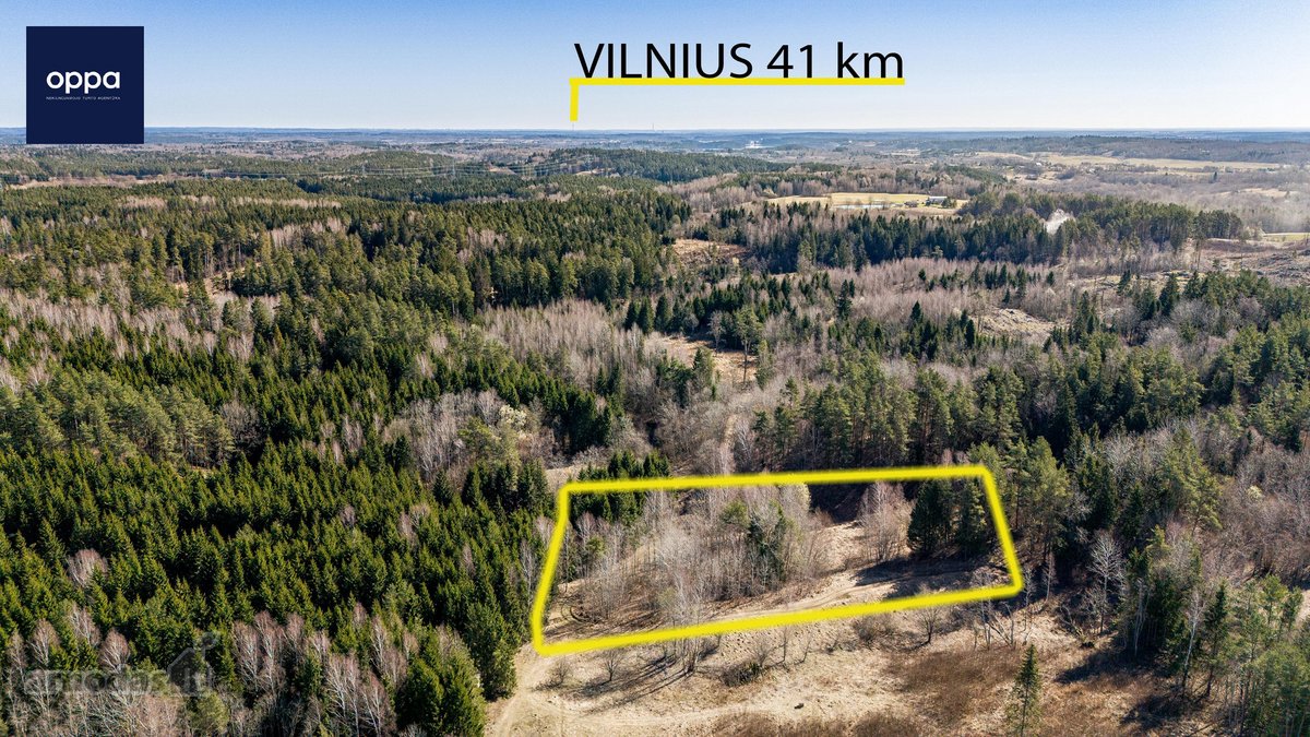 Ieškote tikros ramybės ir privatumo gamtos - nuotraukos Nr. 2
