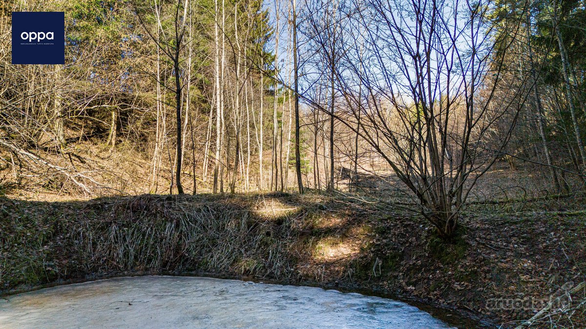 Ieškote tikros ramybės ir privatumo gamtos - nuotraukos Nr. 11