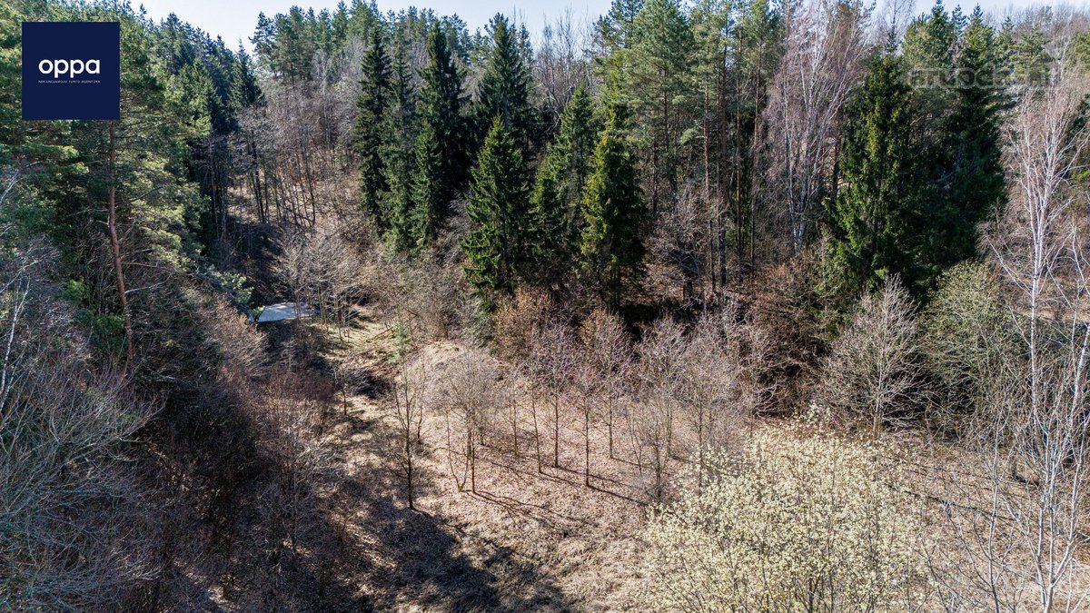 Ieškote tikros ramybės ir privatumo gamtos - nuotraukos Nr. 14