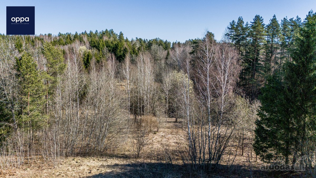 Ieškote tikros ramybės ir privatumo gamtos - nuotraukos Nr. 15
