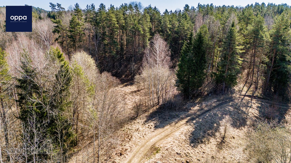 Ieškote tikros ramybės ir privatumo gamtos - nuotraukos Nr. 16