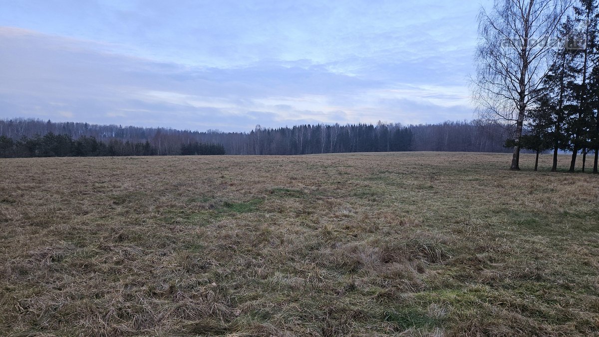 Endriejavo sen., Zadeikiu km. parduodama - nuotraukos Nr. 13