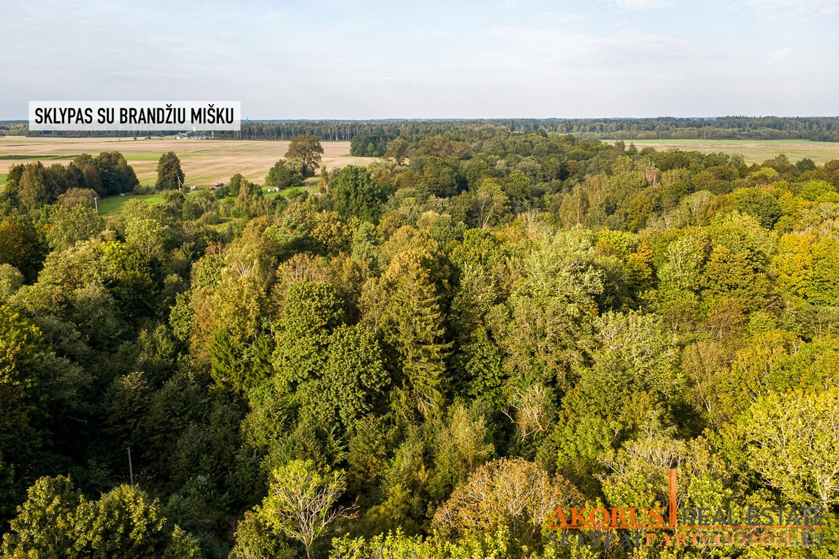 Verta Žinoti - nuotraukos Nr. 5