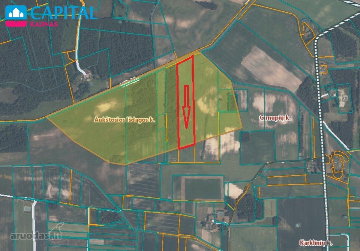 Parduodamas 8,92 Ha Žemės Ūkio Paskirties