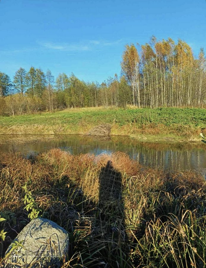 Parduodamas jaukus žemės sklypas Vilniaus - nuotraukos Nr. 3