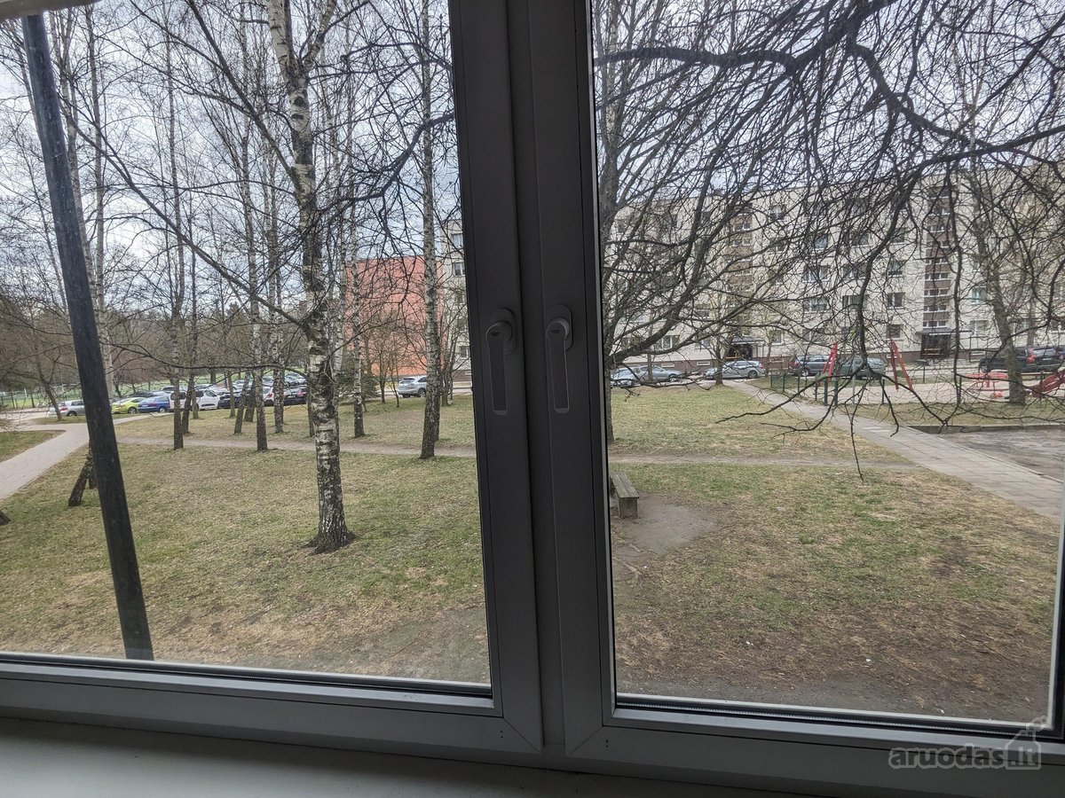 Jeigu ieškote pigaus buto ir galite pirkti be