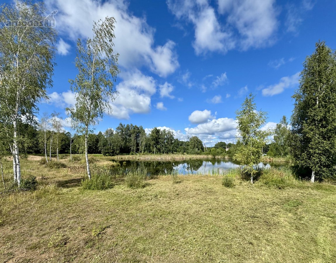 Miežonių kaime, netoli Galuonų ežero,