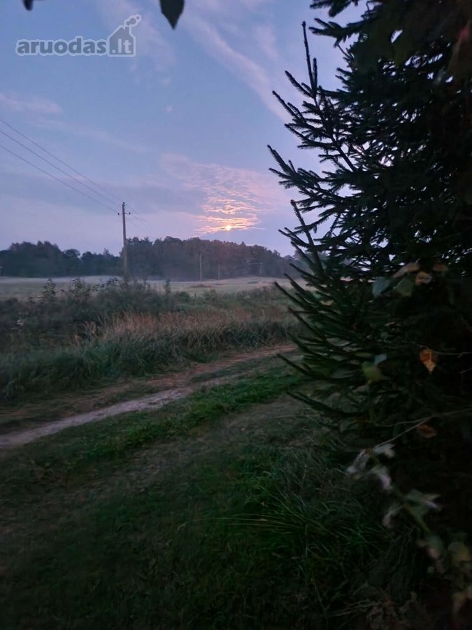 Parduodame sodybą vienkiemyje Kupiškio raj. - nuotraukos Nr. 19