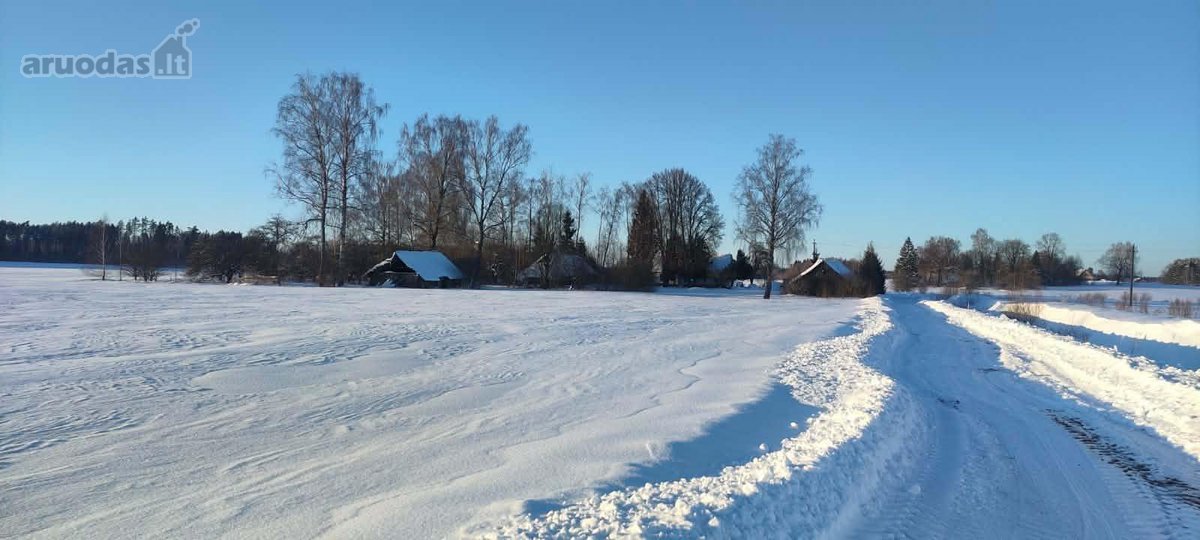 Parduodame sodybą vienkiemyje Kupiškio raj. - nuotraukos Nr. 4