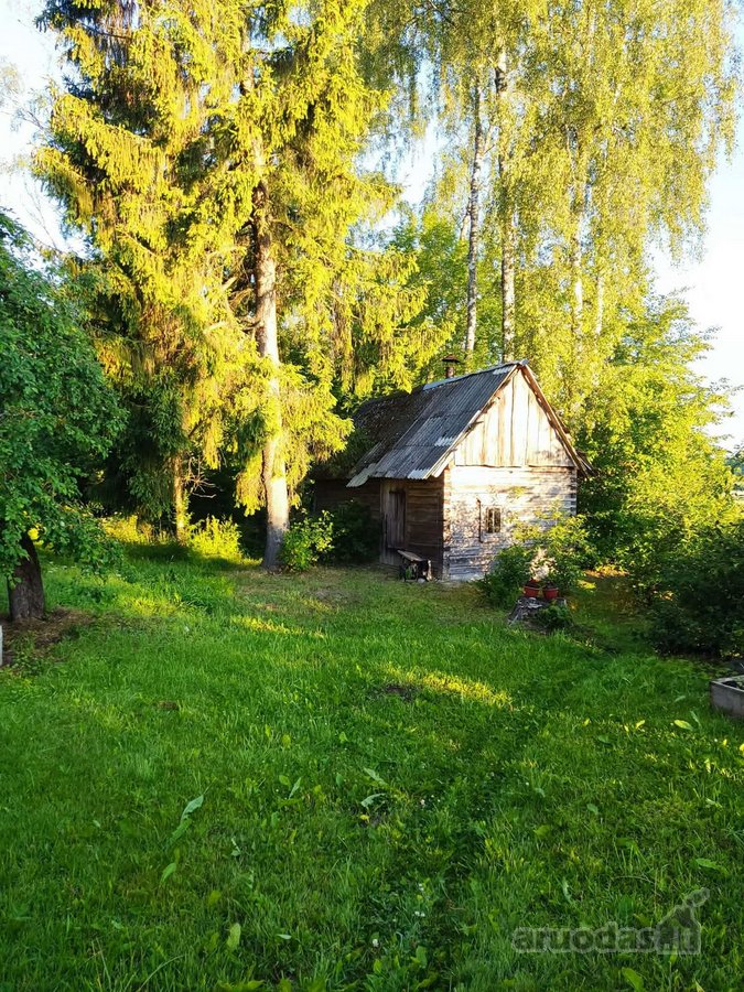 Parduodame sodybą vienkiemyje Kupiškio raj. - nuotraukos Nr. 15