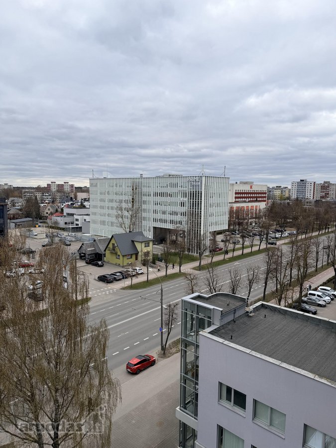 Parduodamas šviesus ir erdvus, išskirtinio