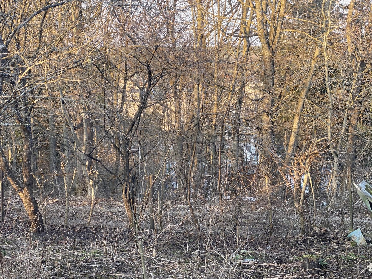 Savininkų parduodamas 7,07a sklypas, su - nuotraukos Nr. 10