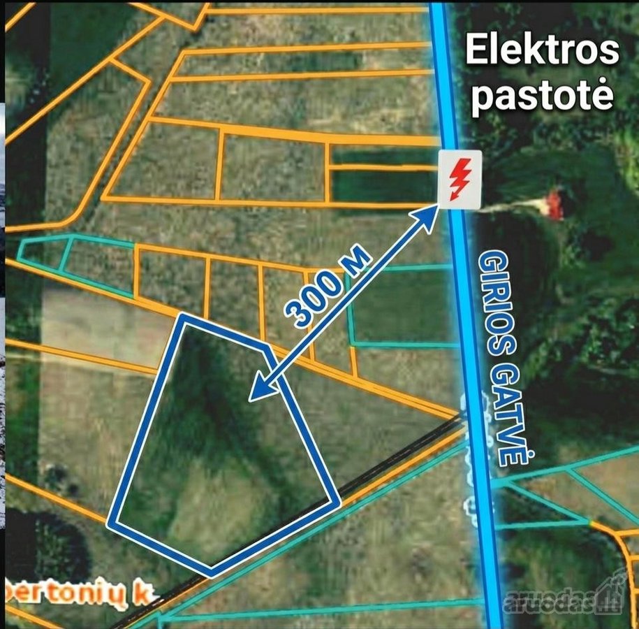 Parduodamas erdvus sklypas – Jūsų svajonių - nuotraukos Nr. 4