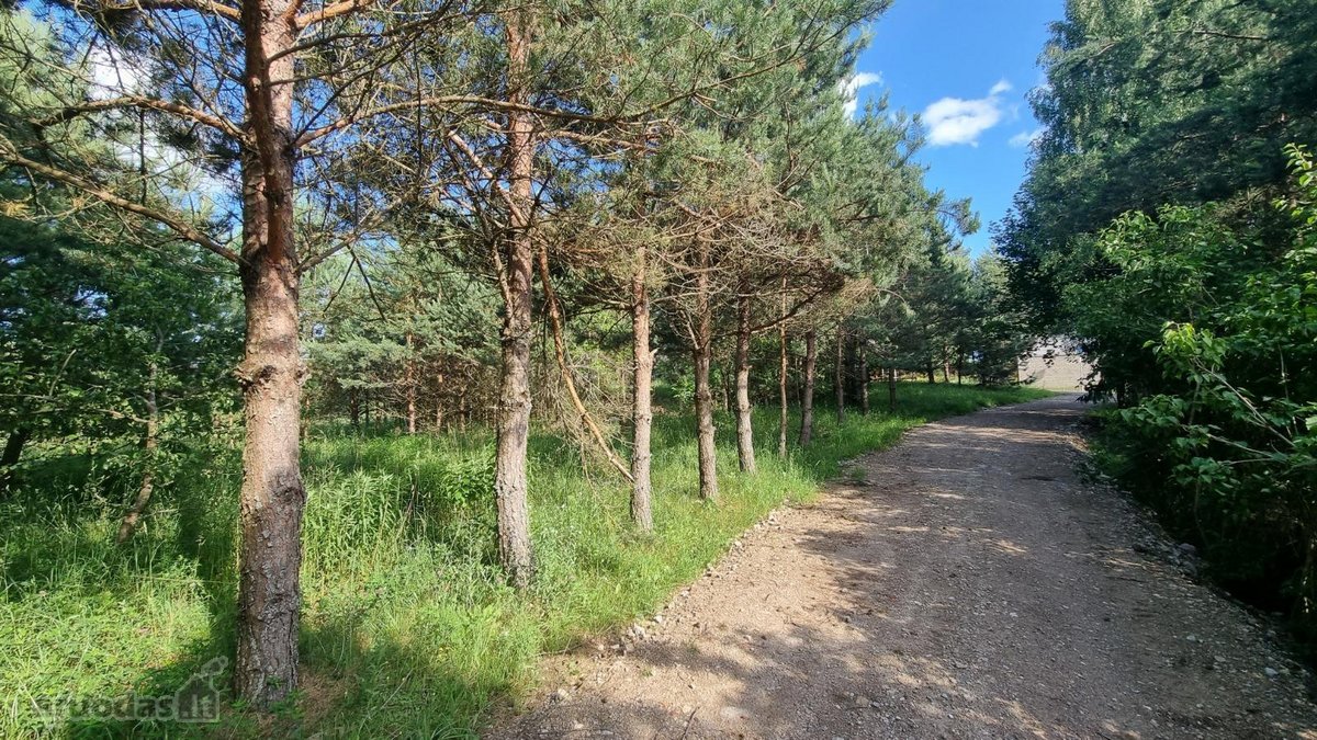 Parduodamas 50 arų (0,5074 ha) namų valdos - nuotraukos Nr. 10