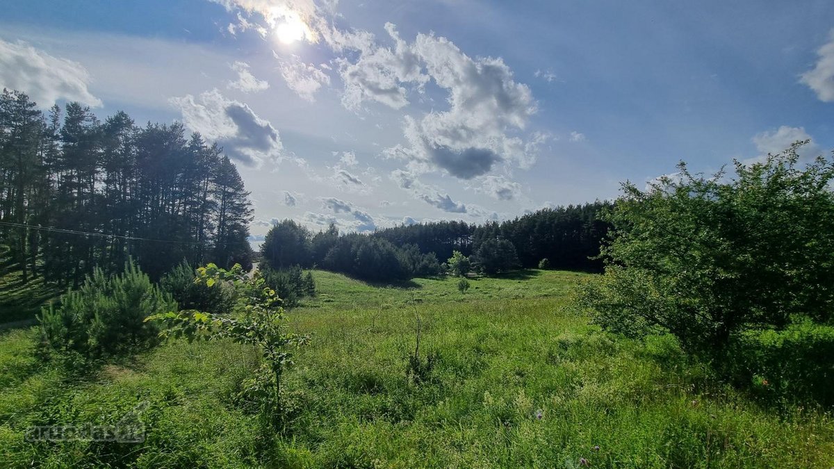 Parduodamas 50 arų (0,5074 ha) namų valdos - nuotraukos Nr. 11